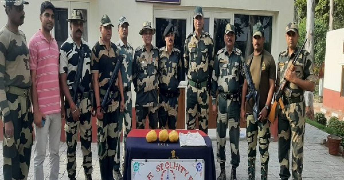 BSF shoots down Pakistan drone in Amritsar; seizes narcotics consignment